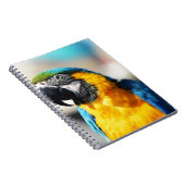 Carnet perroquet (Côté Droit)