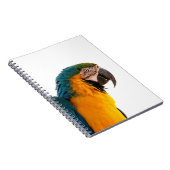 Carnet Perroquet ara   (Côté Droit)