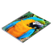 Carnet Perroquet bleu et jaune (Côté gauche)