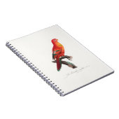 Carnet perroquet de macaw (Côté Droit)
