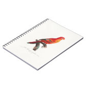 Carnet perroquet de macaw (Côté gauche)