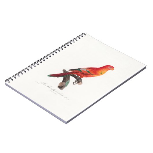 Carnet perroquet de macaw (Côté gauche)