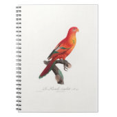 Carnet perroquet de macaw (Devant)