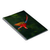 Carnet Perroquet en vol (Côté Droit)