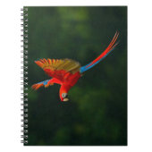 Carnet Perroquet en vol (Devant)