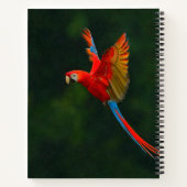 Carnet Perroquet en vol (Dos)