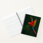 Carnet Perroquet en vol (Intérieur)