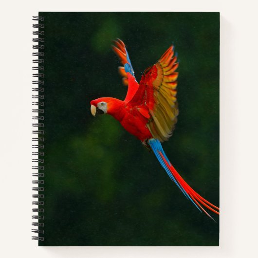 Carnet Perroquet en vol (Devant)