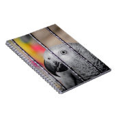 Carnet Perroquet gris (Côté Droit)