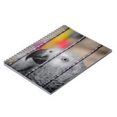 Carnet Perroquet gris (Côté gauche)