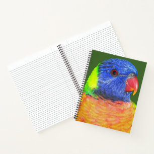 Carnet Perroquet Loriquet Arc-en-Ciel Coloré