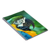 Carnet Perroquet macaou coloré (Côté Droit)