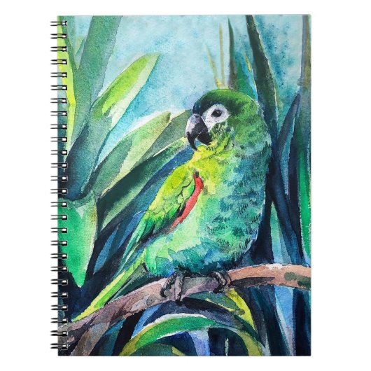 Carnet Perroquet macaw (Devant)