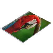 Carnet Perroquet rouge tropical (Côté gauche)