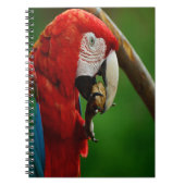 Carnet Perroquet rouge tropical (Devant)