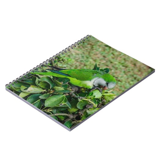 Carnet Perroquet vert (Côté gauche)