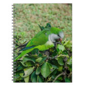Carnet Perroquet vert (Devant)