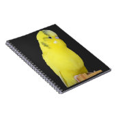 Carnet perruche jaune mignonne (Côté Droit)