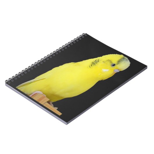 Carnet perruche jaune mignonne (Côté gauche)