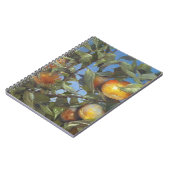 Carnet Persimmon Fruit Tree Belle oeuvre originale (Côté gauche)