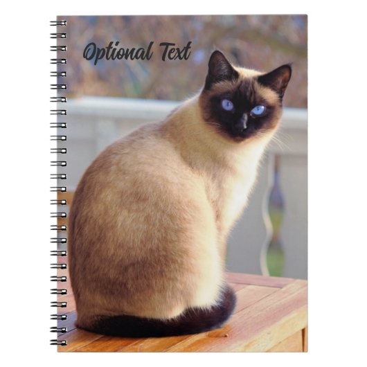 Carnet Personalized Beautiful Siamese Cat with Blue Eyes (Devant)