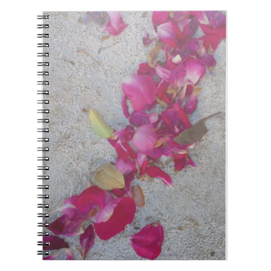 Carnet Pétales de danse III (Devant)