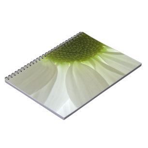 Carnet Pétales de marguerite blanche