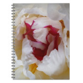 Carnet Pétales de pivoines (Devant)