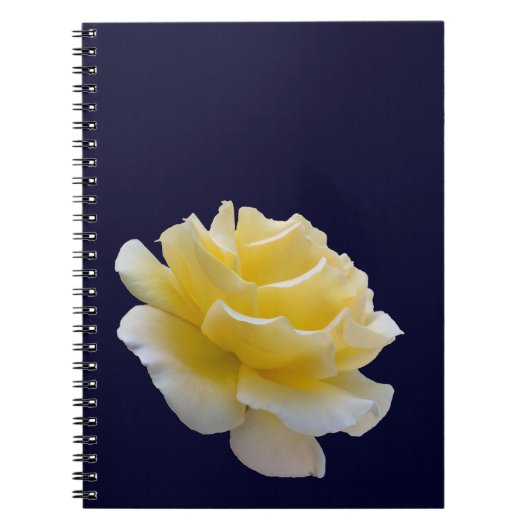 Carnet Pétales de rose jaune (Devant)