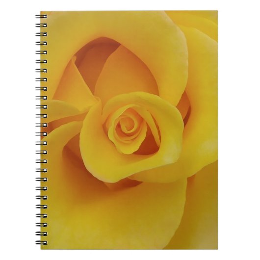 Carnet Pétales de rose jaune romantiques (Devant)