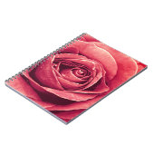 Carnet Pétales d'un Rose (Côté gauche)