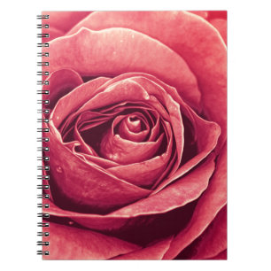 Carnet Pétales d'un Rose