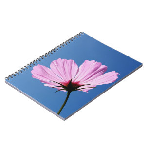Carnet Pétales roses