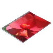 Carnet pétales rouge vif (Côté gauche)