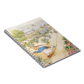 Carnet Peter le lapin dans le jardin de M. Mc Gregor (Côté Droit)