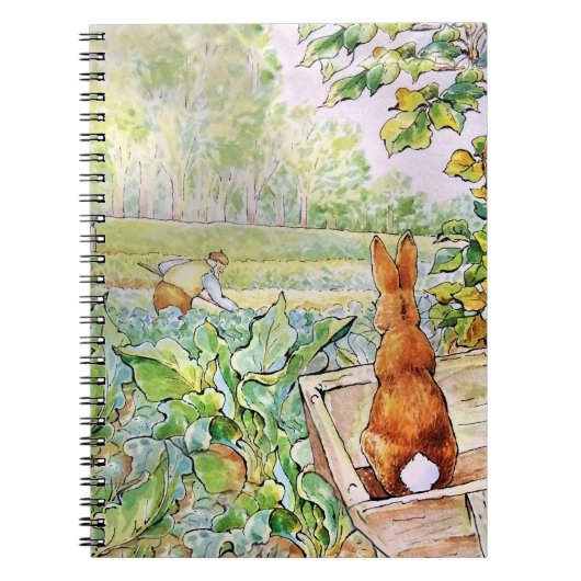Carnet Peter the Rabbit in Mr. Mc Gregor's Vegie Garden (Devant)