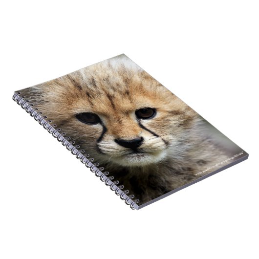 Carnet Petit animal de guépard (Côté Droit)