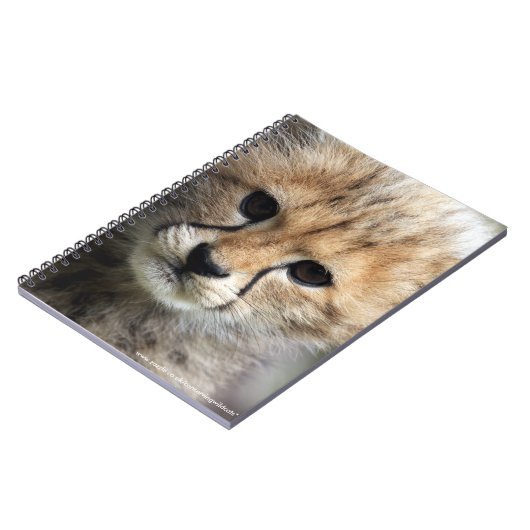 Carnet Petit animal de guépard (Côté gauche)