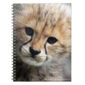 Carnet Petit animal de guépard (Devant)