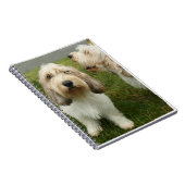 Carnet Petit Basette Griffon Vendeen (Côté Droit)