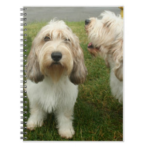 Carnet Petit Basette Griffon Vendeen