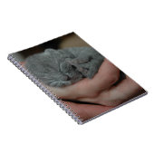 Carnet Petit Bébé bleu Kitten (Côté Droit)