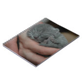 Carnet Petit Bébé bleu Kitten (Côté gauche)