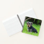 Carnet Petit bébé yorkshire terrier chiot triste yeux pho (Intérieur)