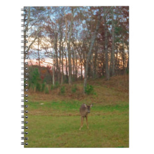 Carnet Petit cerf et coucher de soleil rose