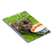 Carnet Petit chaton boit dans un bol (Côté Droit)