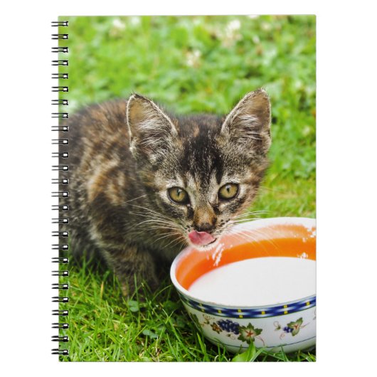Carnet Petit chaton boit dans un bol (Devant)