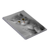 Carnet Petit chaton doux (Côté Droit)