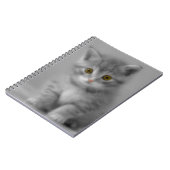 Carnet Petit chaton doux (Côté gauche)