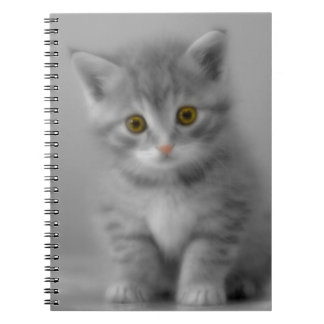 Carnet Petit chaton doux